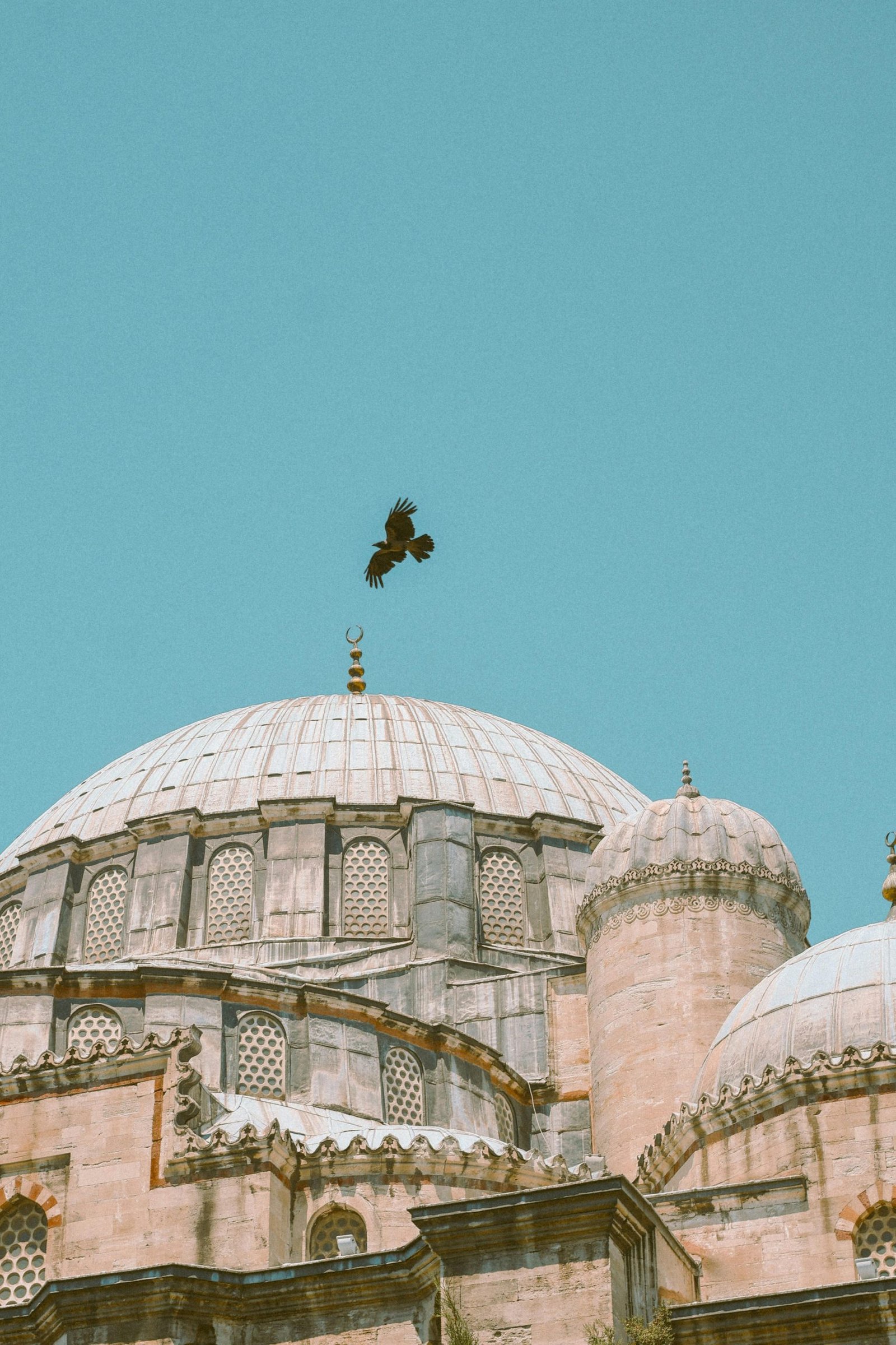 Ottoman architectural dome with bird in flight, clear sky background.